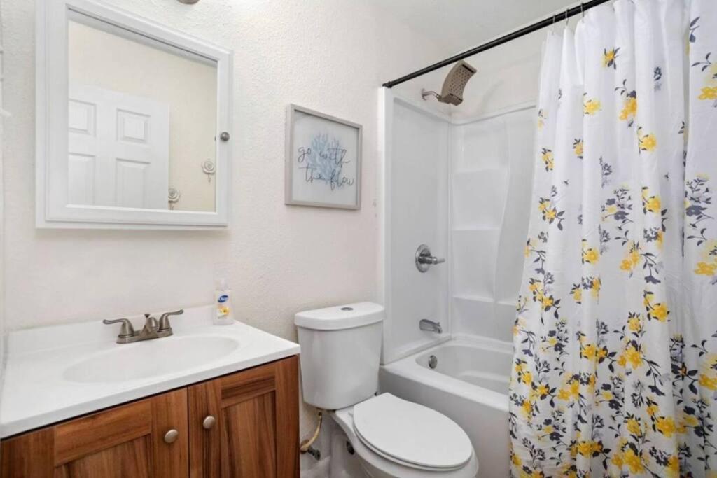 Sat Airport, 4 Bdrms, Large Group, Wheelchair Holiday home San Antonio